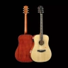 TransAcoustic Guitar KEPMA F1E-D N